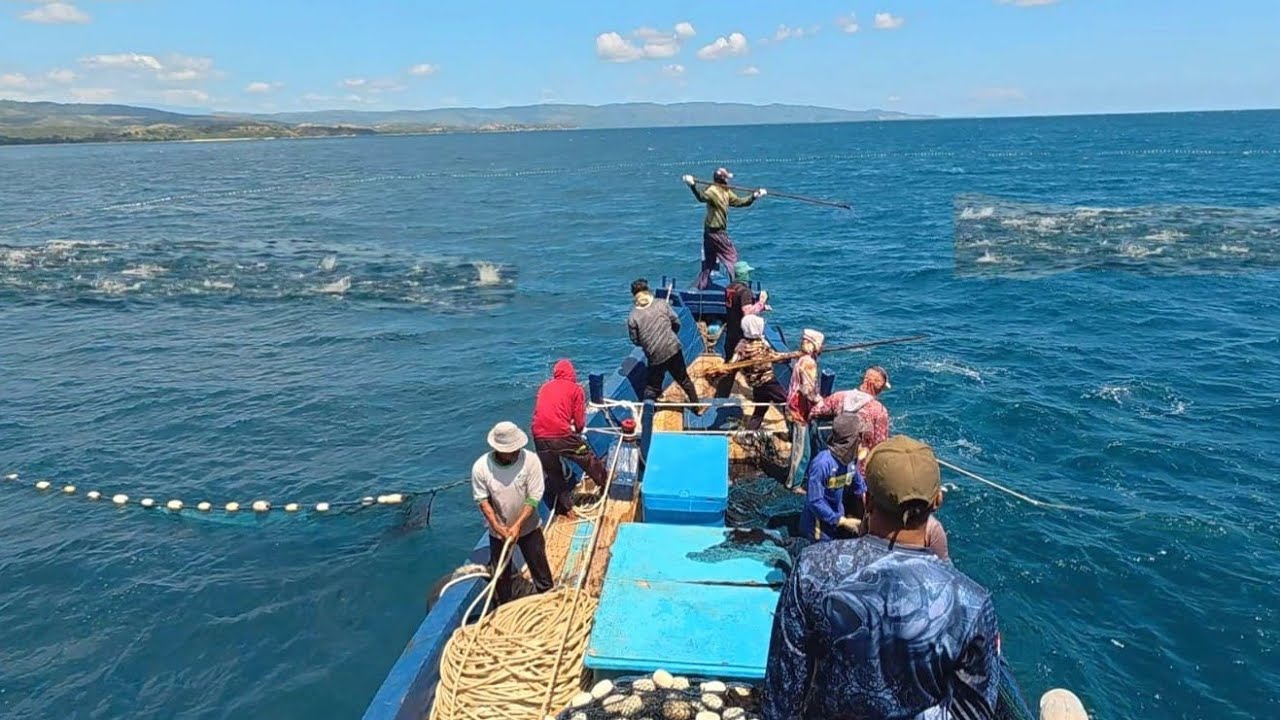 Pukat cincin, Nelayan Indonesia Dapat Banyak Ikan, luar biasa hasil tangkapan nelayan Indonesia