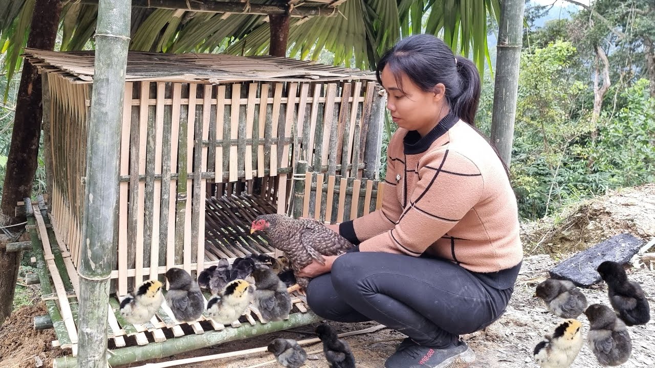 full video: 150 days of building a chicken coop, harvesting corn, building a firewood warehouse