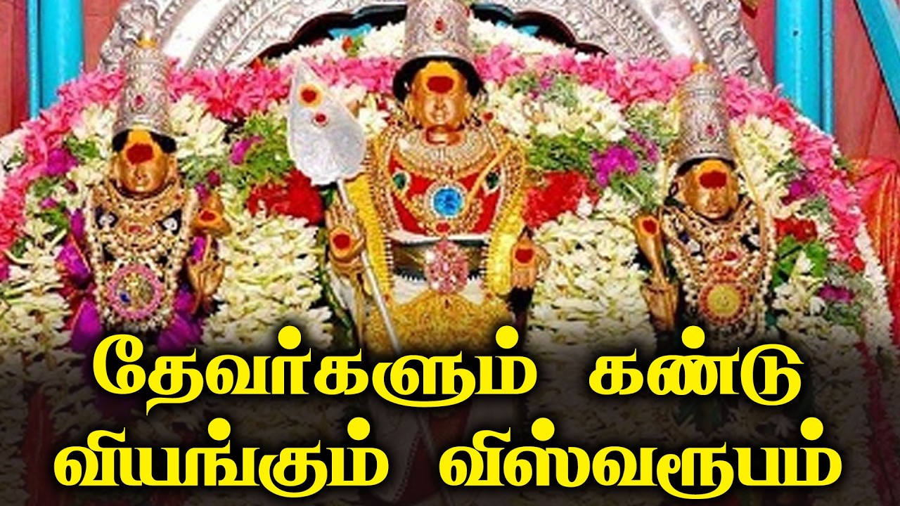 தேவர்களும் கண்டு வியங்கும் விஸ்வரூபம் | இந்து சமயத்தின் நற்போதனைகள் | Hindu Devotional