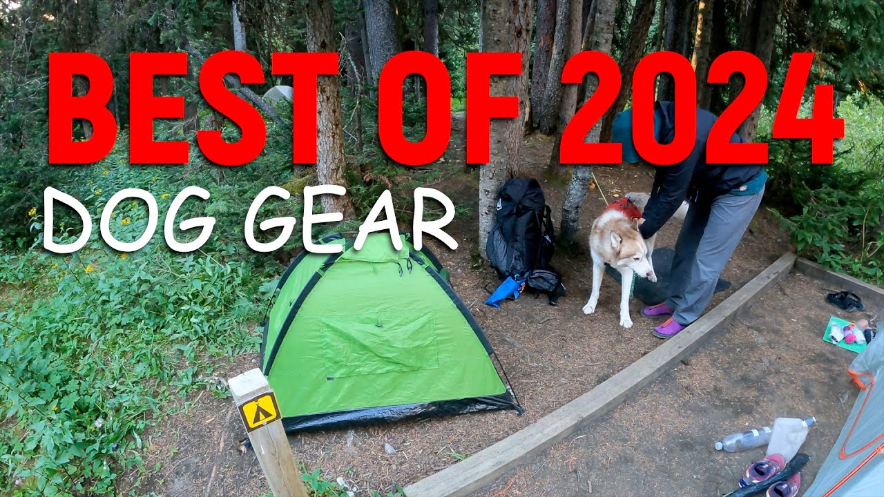 FAVOURITE DOG GEAR FOR THE MOUNTAINS 2024