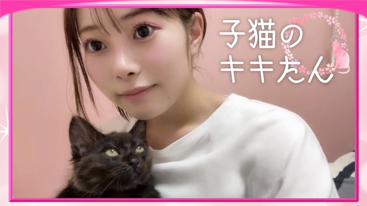 子猫のキキたん 【橋本桃呼】