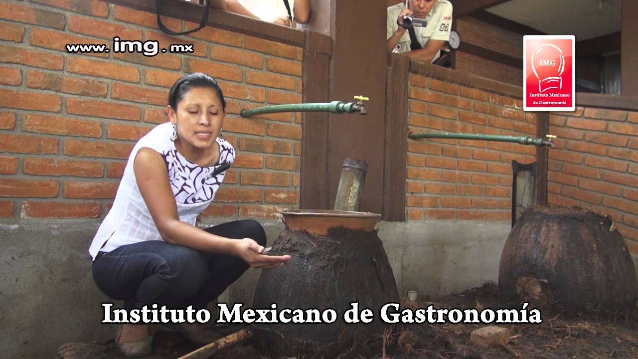 MEZCAL Parte 4 Final DESTILACION