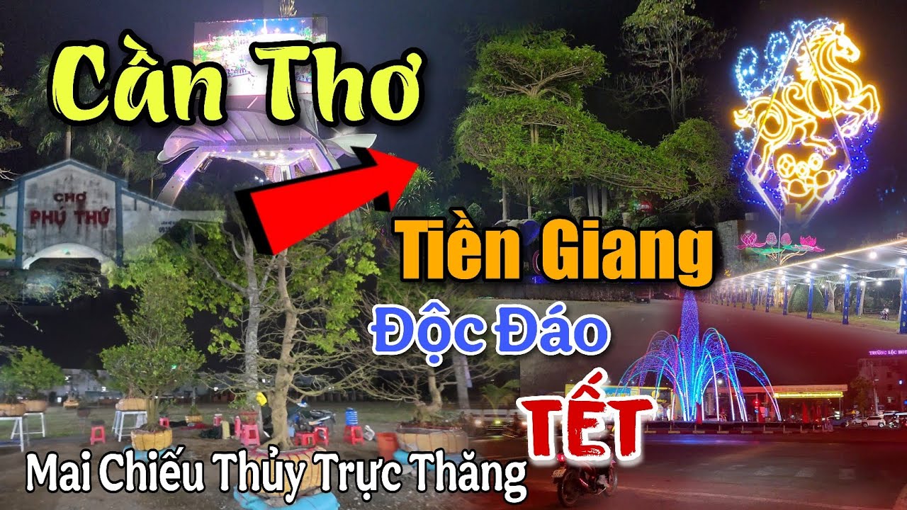 Bất Ngờ Chợ Hoa Xuân Phú Thứ Cái Răng Cần Thơ Xuất Hiện Kiểng Độc Lạ Đến Từ Tiền Giang