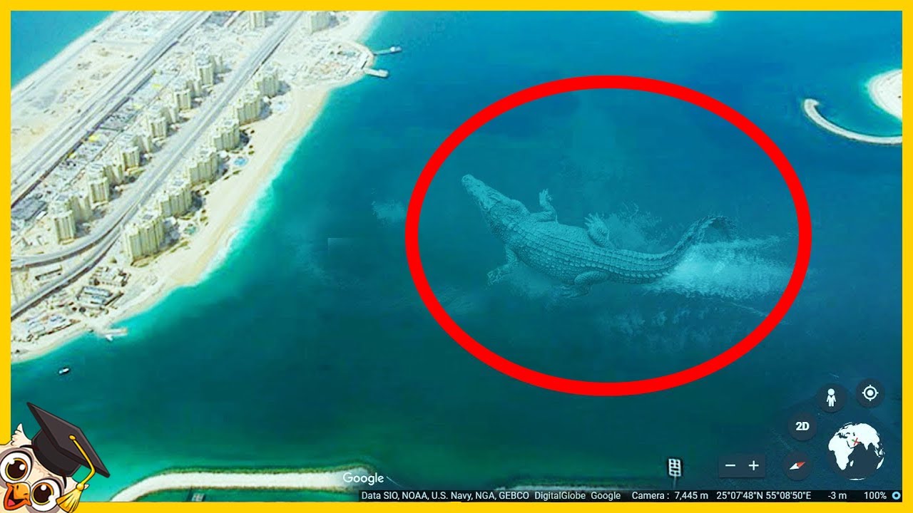 10 Gigantische Wezens Vastgelegd Op Google Earth