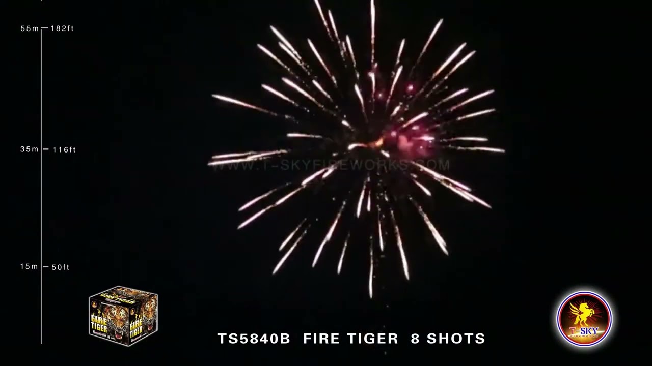 UNLEASH THE BEAST TS5840