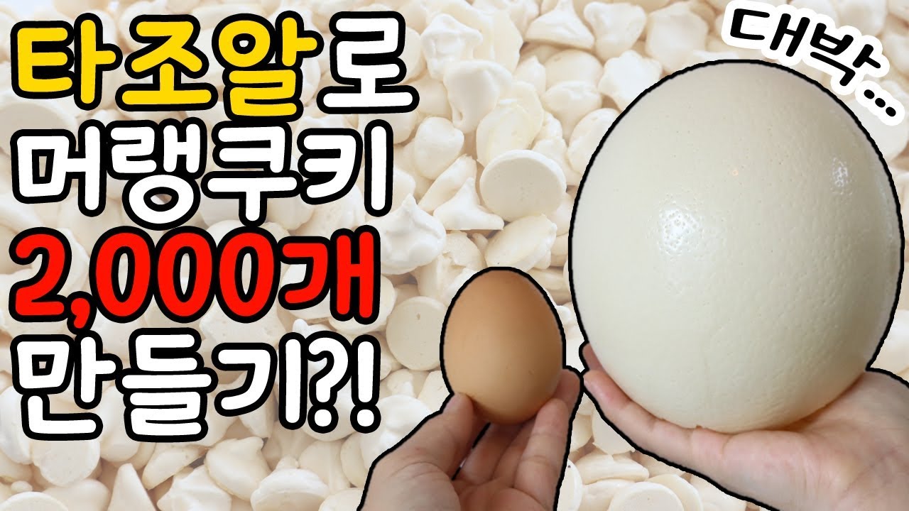 달걀보다 20배 큰 '타조알'로 머랭쿠키 2,000개 만들기~!!! 🐥 :: 순백설탕 베이킹