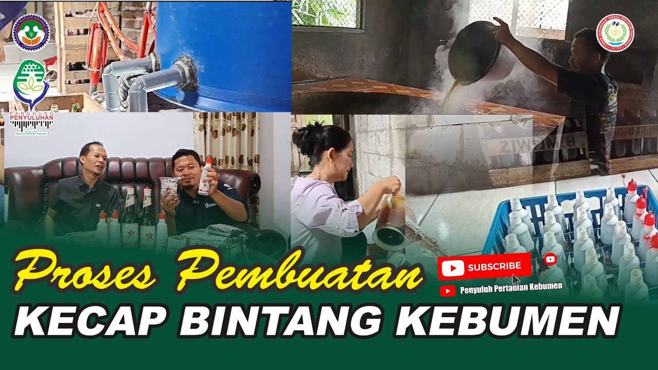 Proses Pembuatan Kecap BINTANG Kebumen //  Sruweng - Kebumen