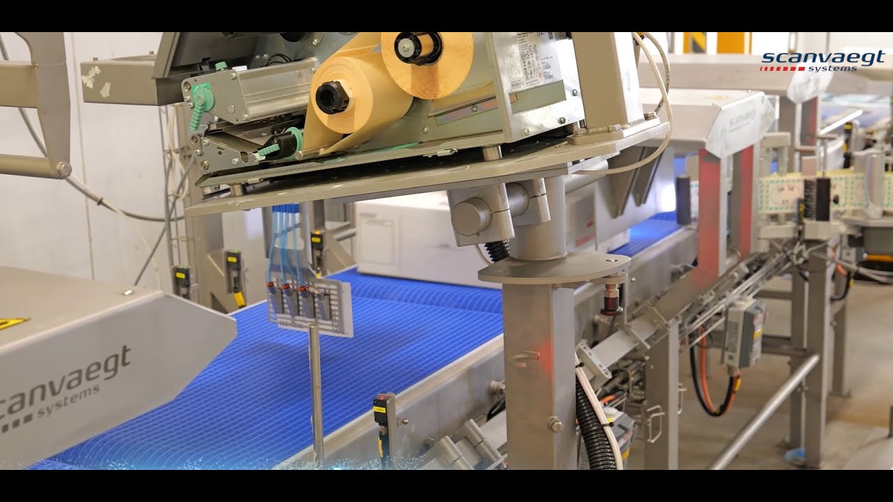 Scanvaegt Automatic Box Weigh Labelling