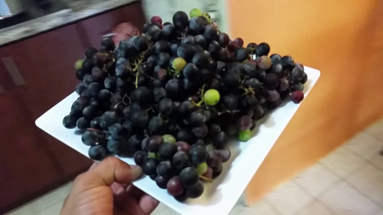 COMO HACER JUGO DE UVA