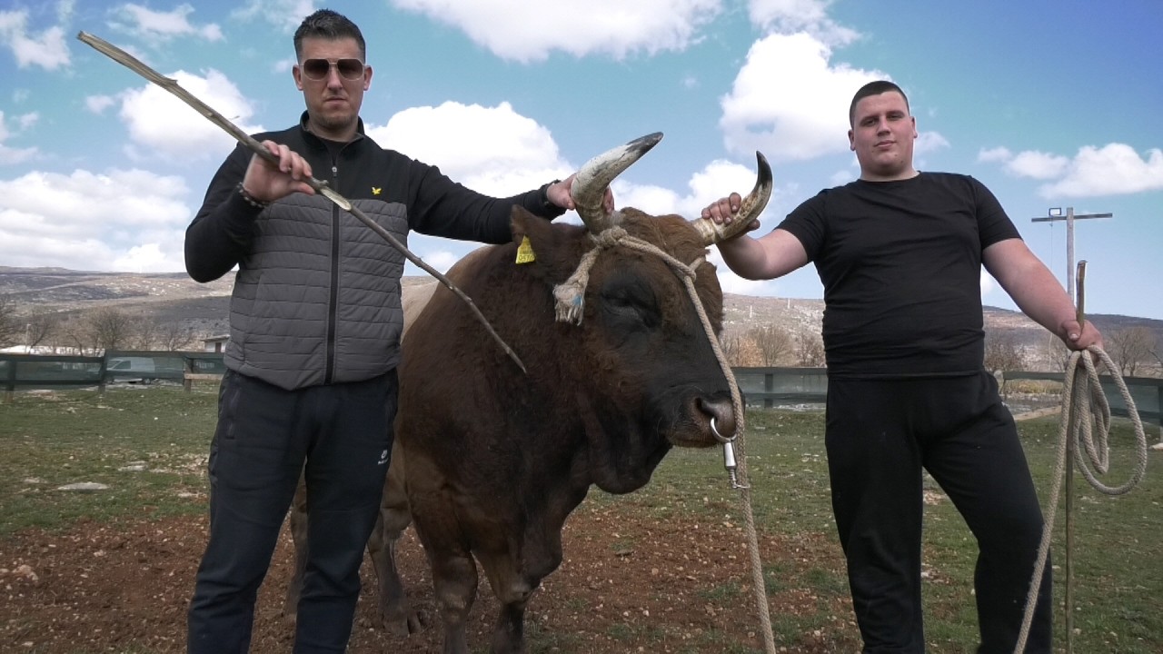 - SVEMIRAC ŽEŠĆI NEGO IKAD, JAKOV KOKAN DAO NAJBOLJI INTERVJU