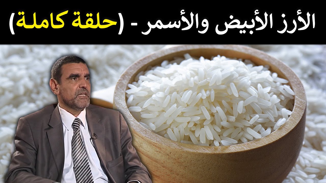 🔹 الأرز: هل هو غذاء صحي أم سبب لزيادة الوزن؟ 🍚 د. محمد الفايد 🌴 #برنامج_نخل_ورمان