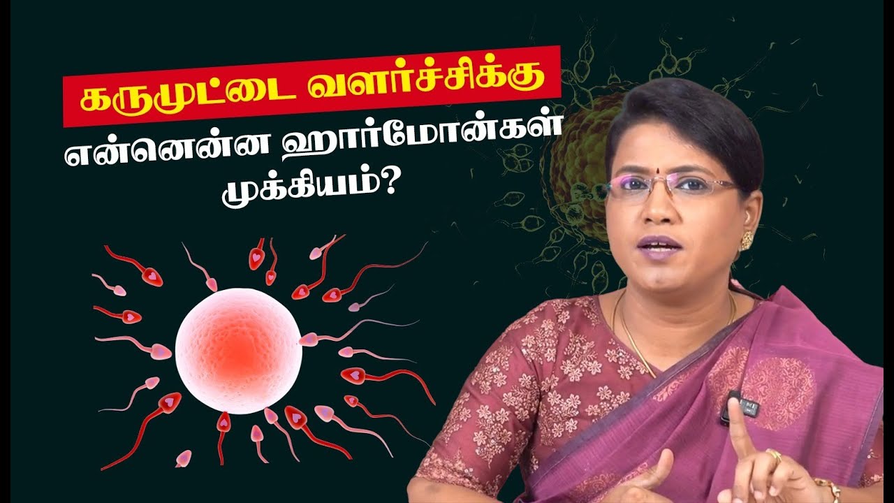 கருமுட்டை வளர்ச்சிக்கு என்னென்ன ஹார்மோன்கள் முக்கியம்?