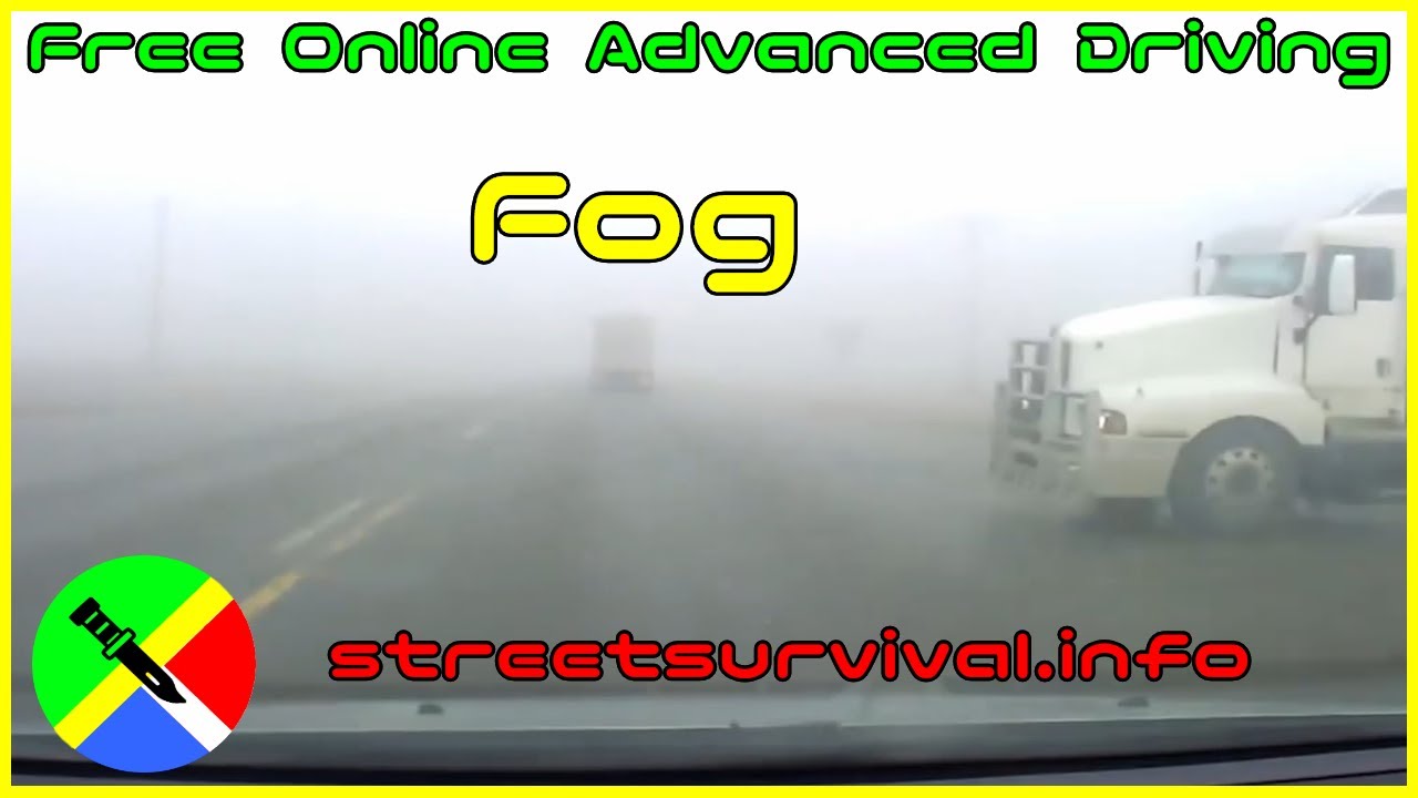 Dangerous Fog Driving Moments You Must See