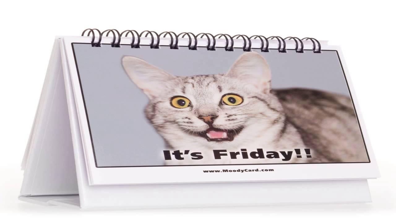 Funny Office Gifts The Best Office Gift For Coworkers Business Gifts Gag Gi