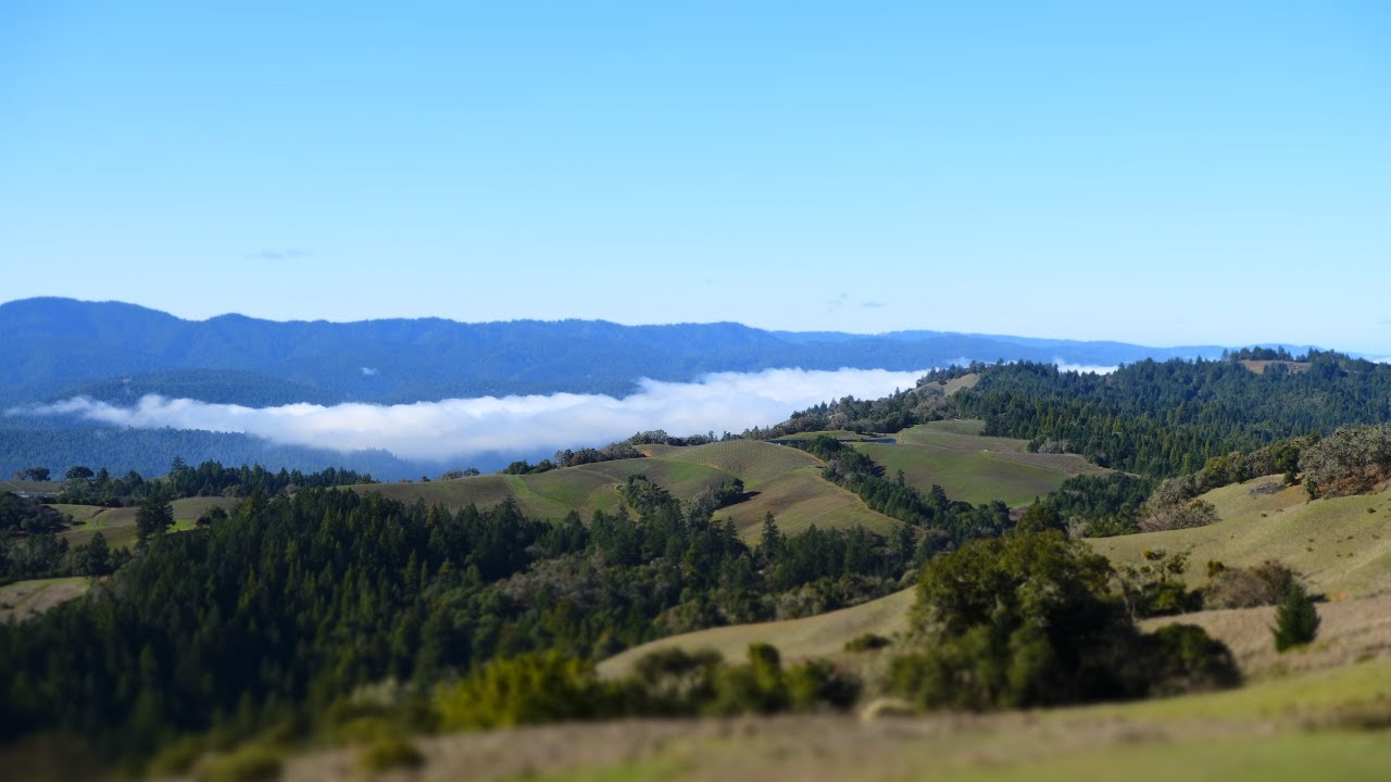 A Birds Eye View into the Pinot Noir Neighborhoods of Anderson Valley