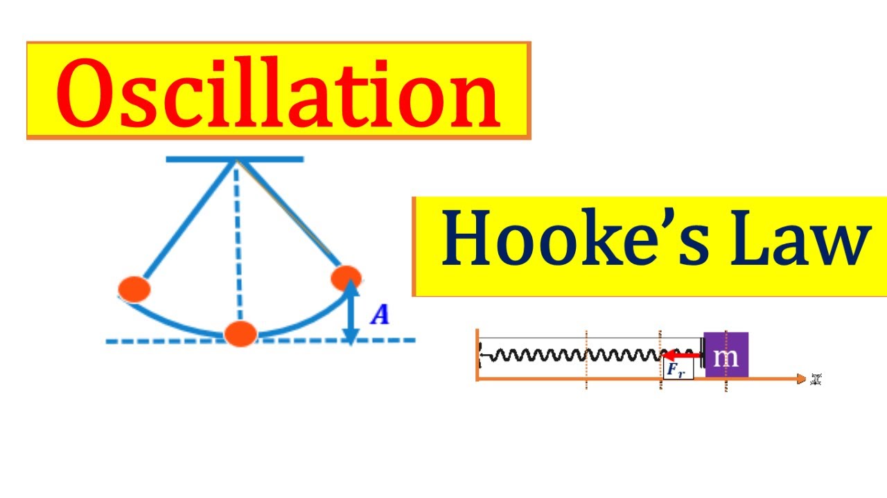 Oscillations Explained!