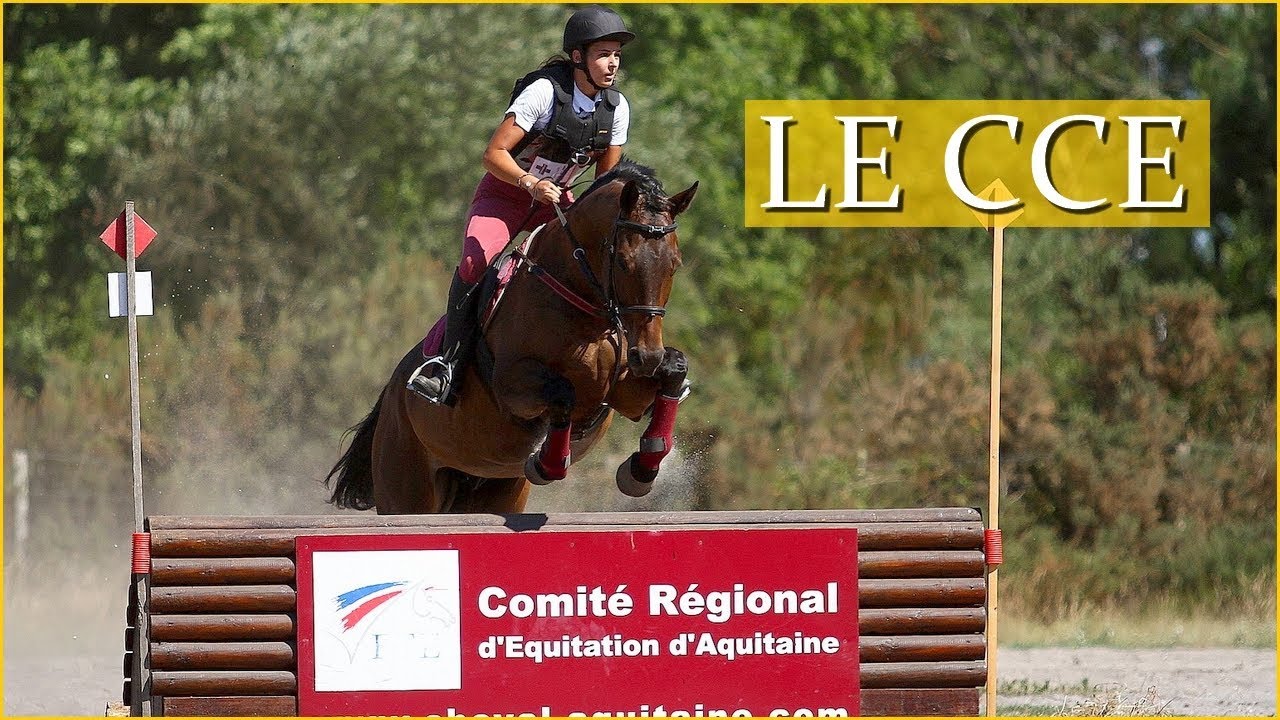 LE CCE - Explication de la discipline