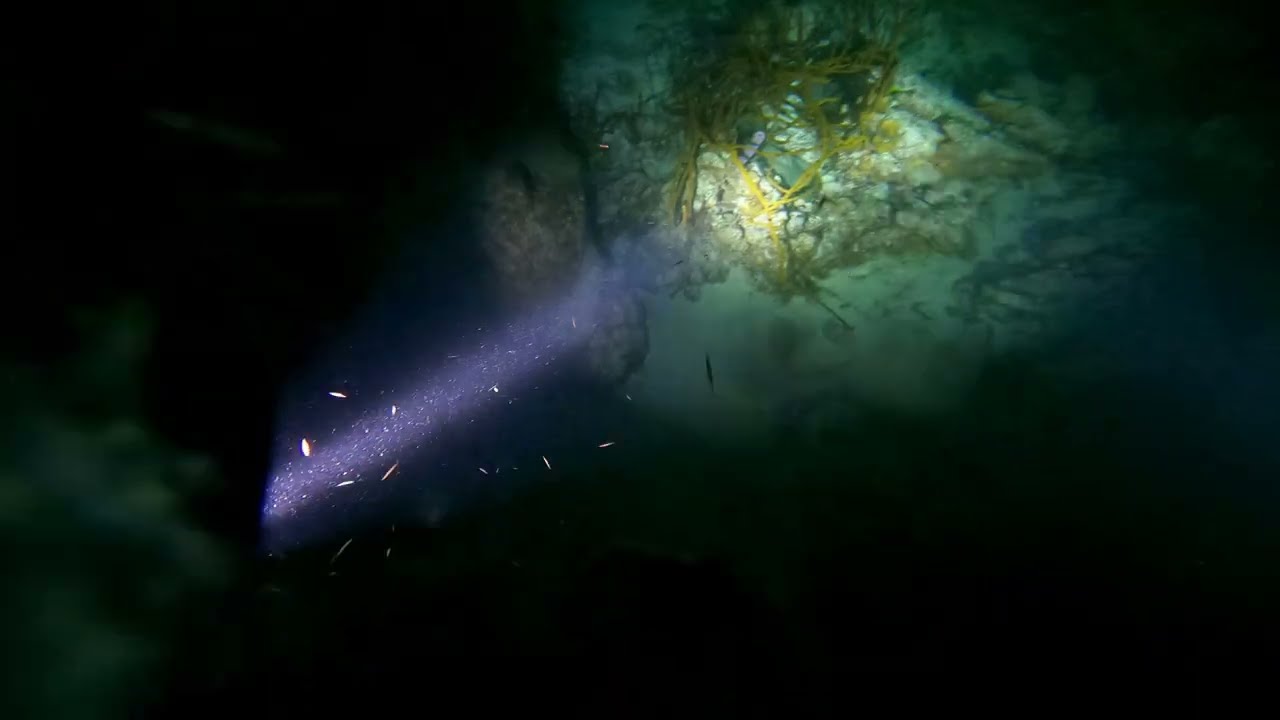 Dive 87