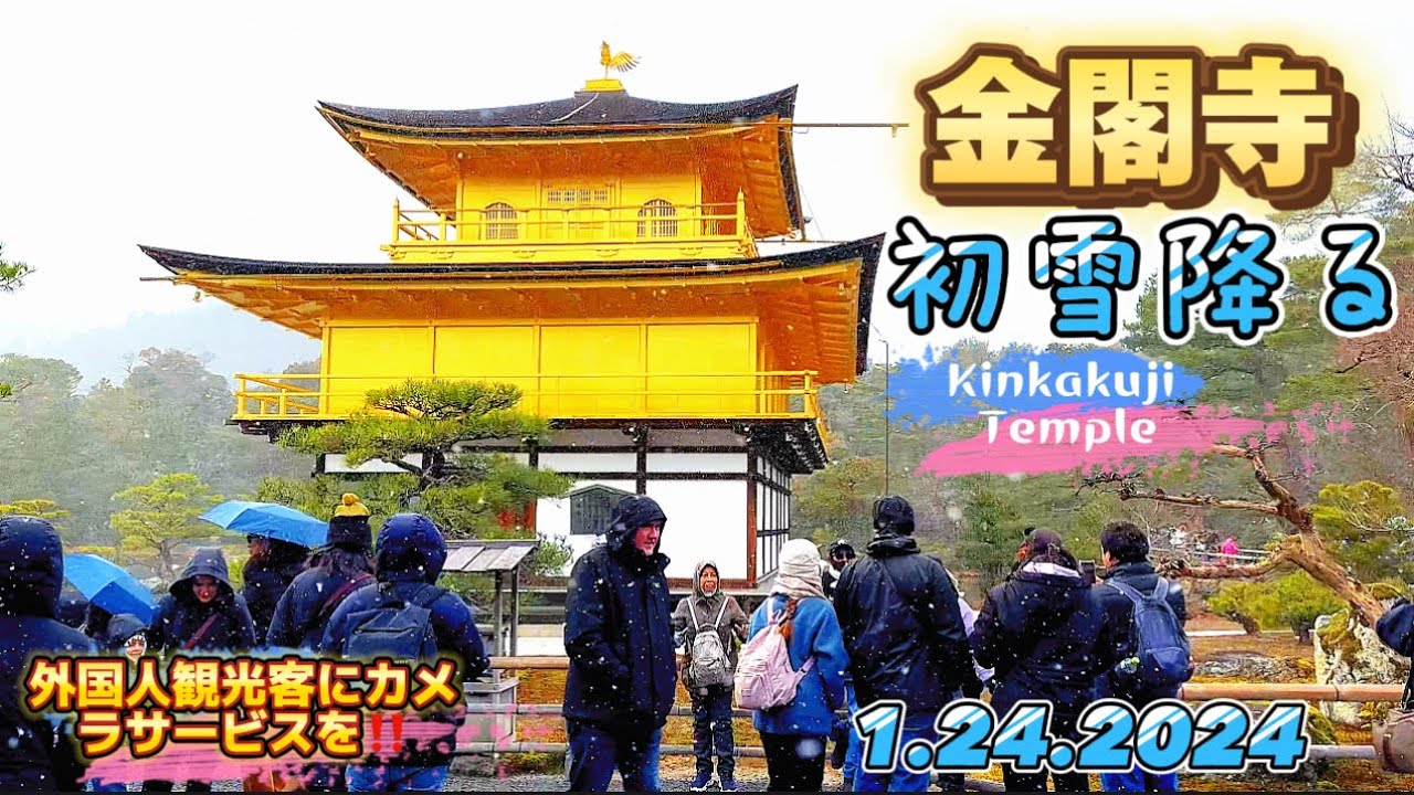 【金閣寺雪降る2024•冬シーズン】外国人観光客大人気スポット‼️|Golden Pavilion (Kinkakuji)with Snowfall 1.24.2024