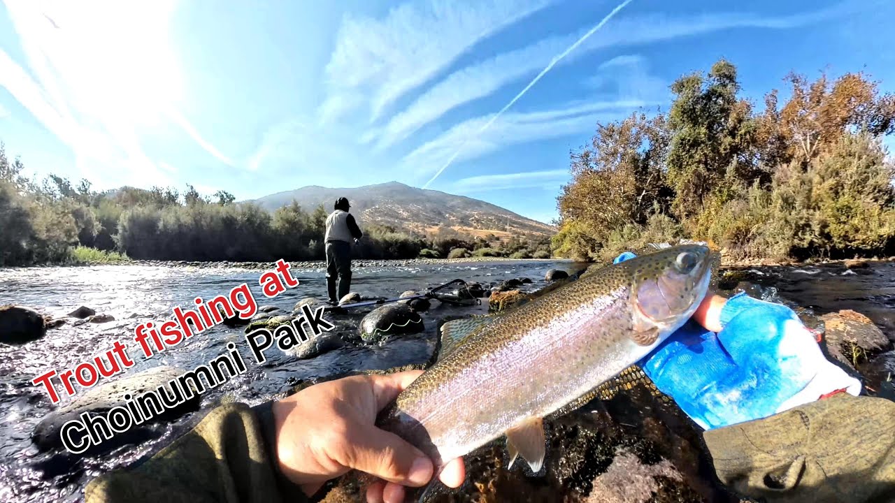 Kings River Trout Fishing in low water / Choinumni Park