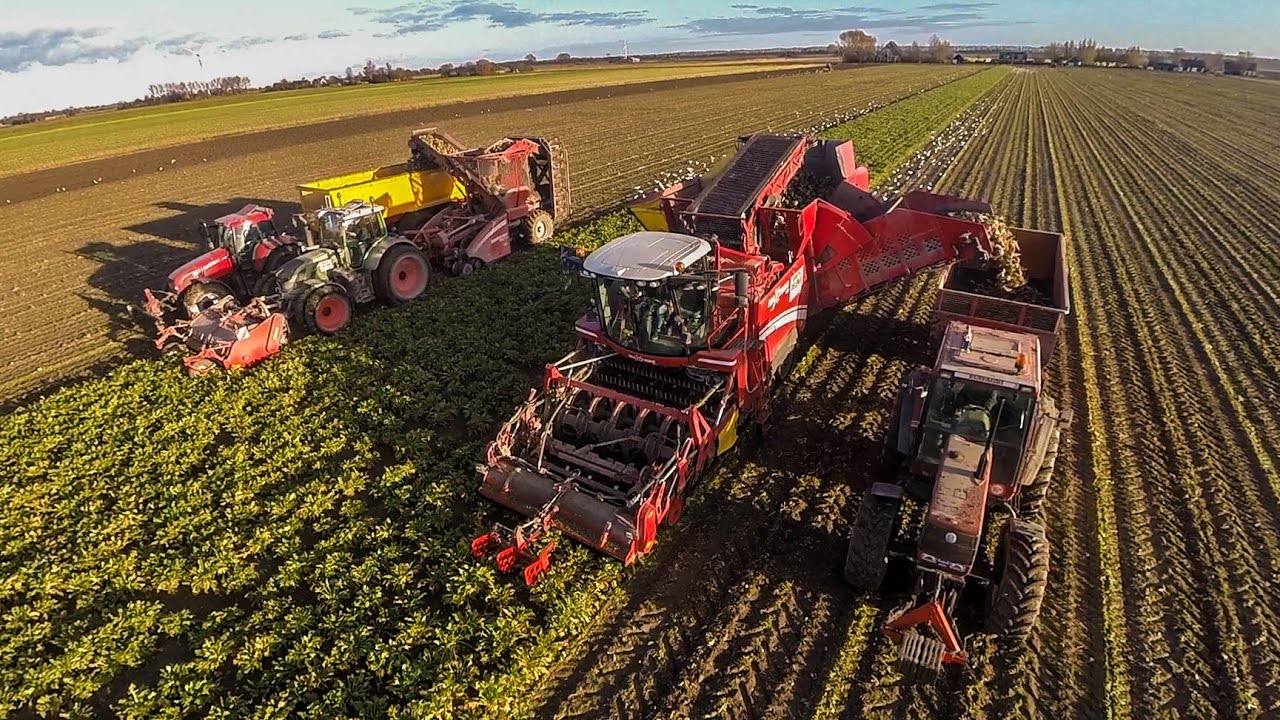 |DJI Phantom|Loonbedrijf Dieleman|Bietenrooien|Grimme|Fendt|Case|Fiat