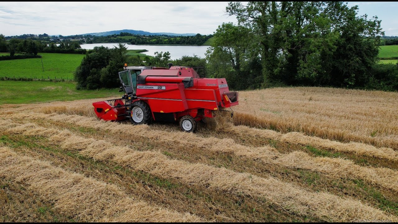 Harvesting Winter Barley with Massey Ferguson 22