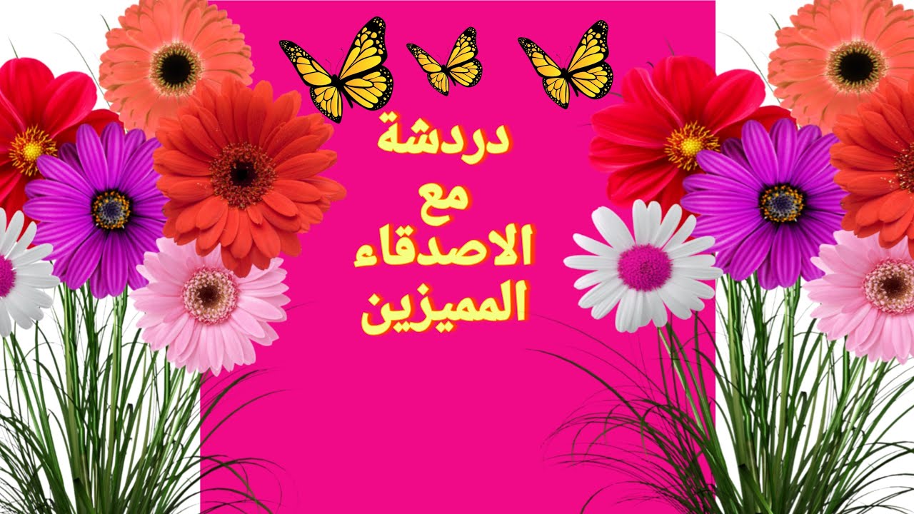 دردشة مع الاصدقاء المميزيين.