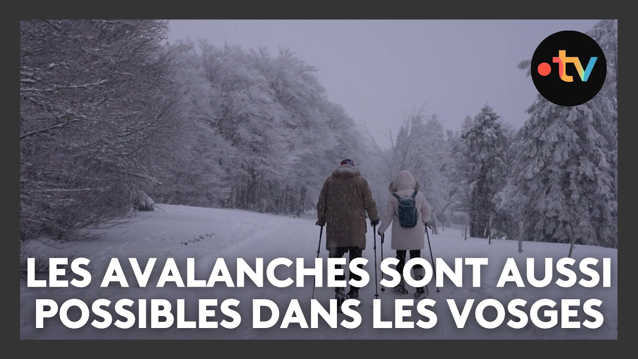 Comment mesure-t-on les risques d'avalanches