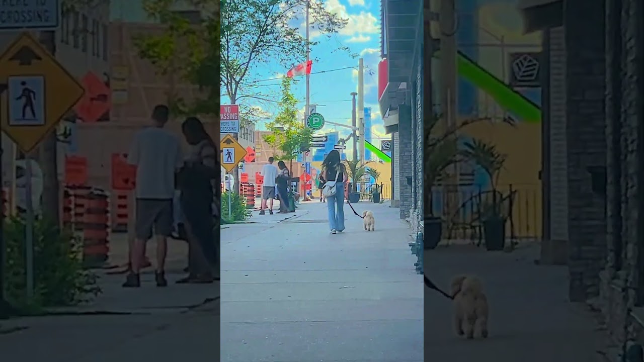 Ouppy walk at Danforth Ave Toronto city 