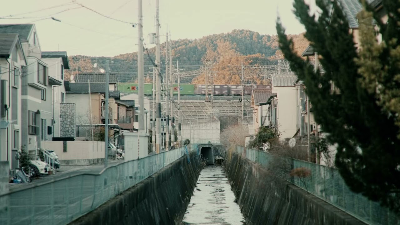 それぞれの近影