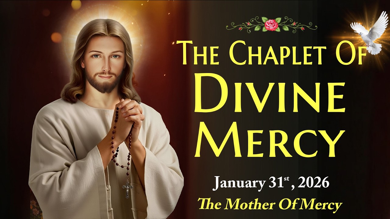 Daily Divine Mercy Chaplet | Saturday, 31/01/2026 🙏 The Mother Of Mercy