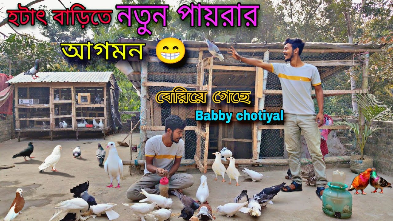 হটাৎ বাড়িতে নতুন পয়রার আগমন😚Babby Chotiyal বাইরে চলে এসেছে 😲#myworld #petsvlog
