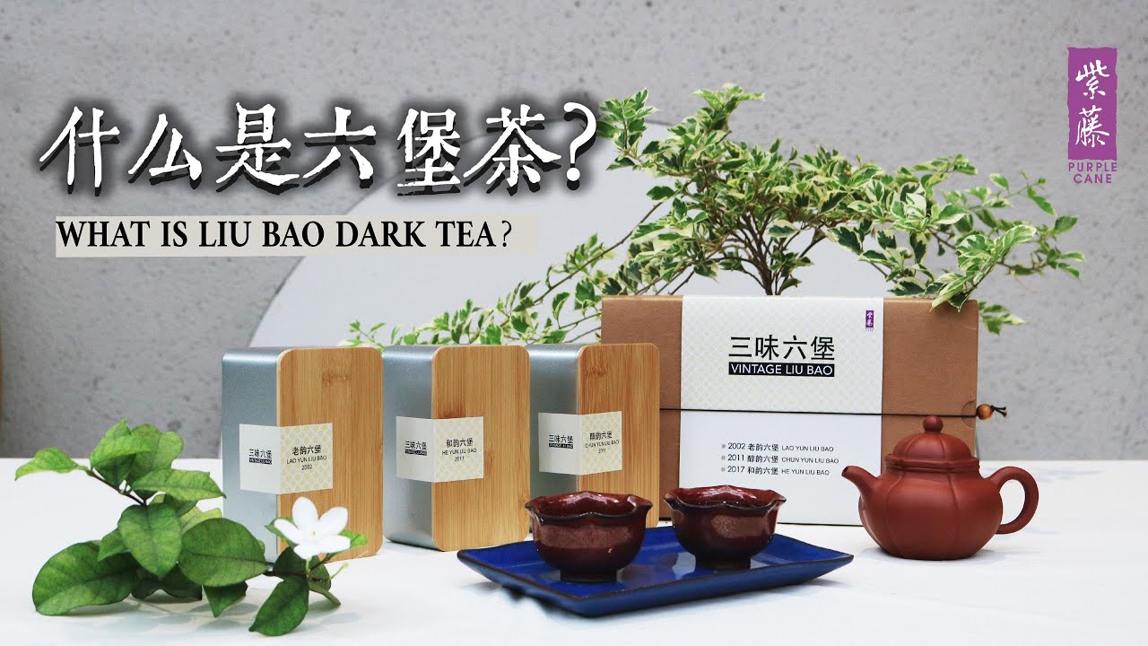 什么是六堡茶？What is Liu Bao