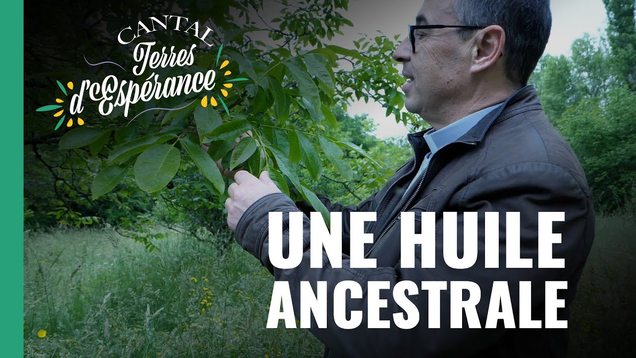 Fabrication de l'huile de noix - Cantal Terres d'Espérance