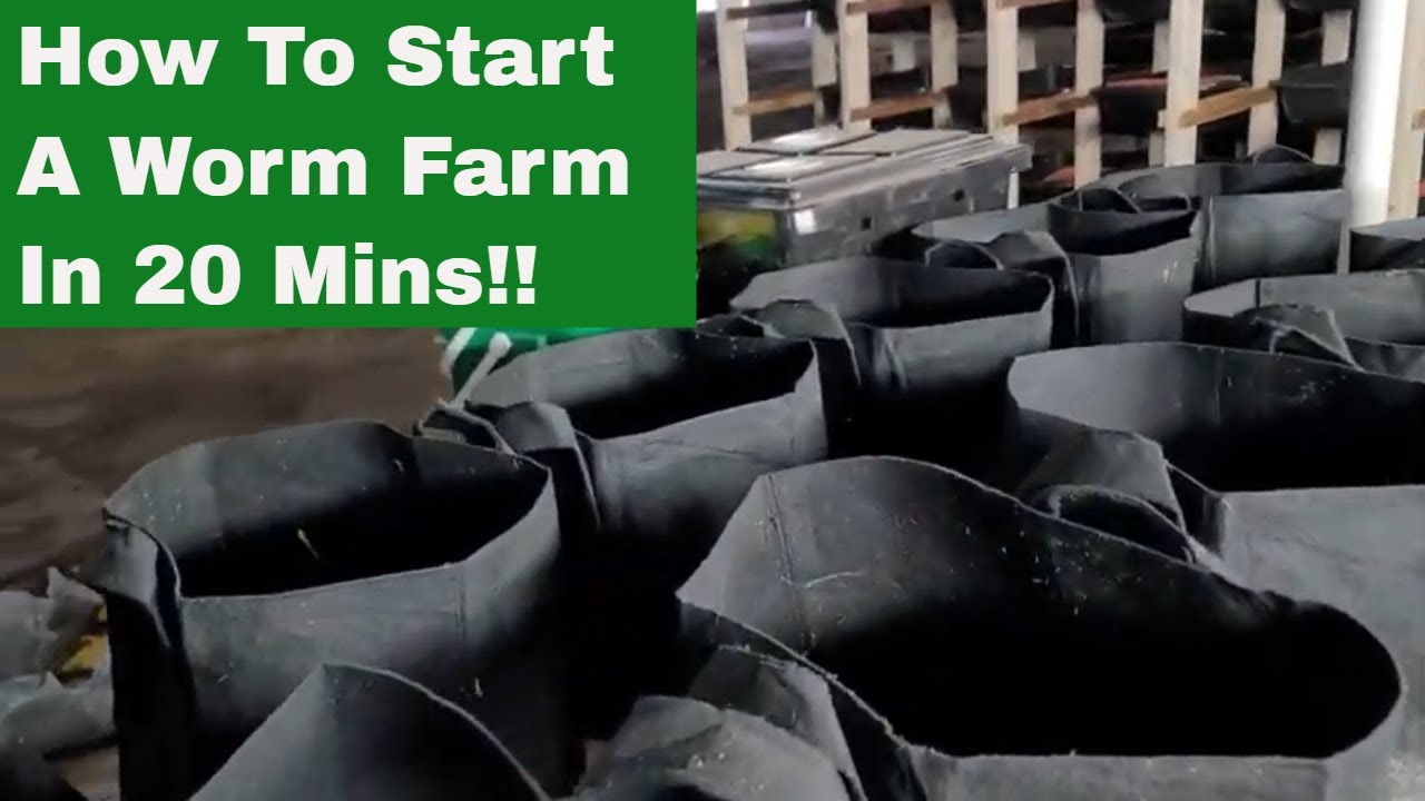 How to Start a Worm Farming Business in Under 20 Minutes &ndash; Beginner Guide