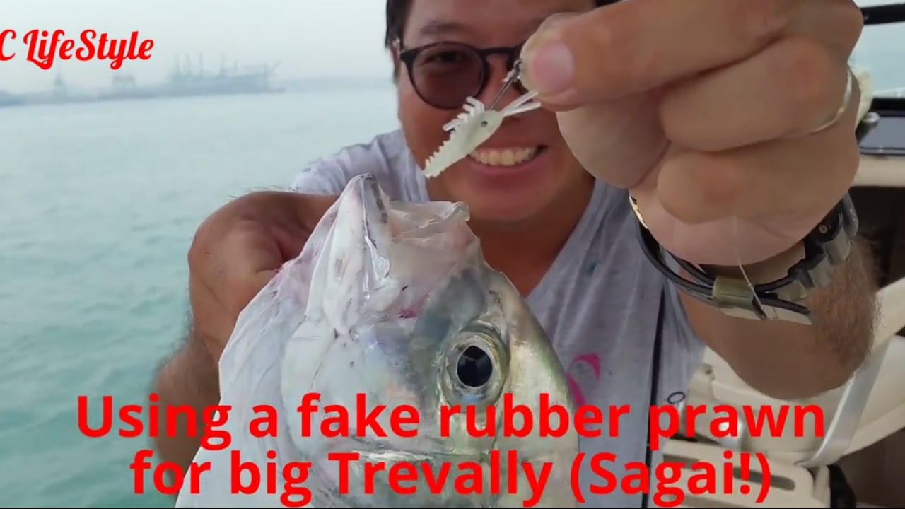 New Boat, Fake Prawn, Ajing for Sagai Ep 48 (Trevally). ONZZ Fishing