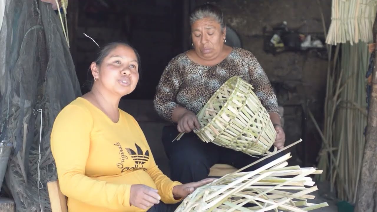 Retrato de un proceso artesanal en transformación: el tejido con chuspata en Ihuatzio Michoacán