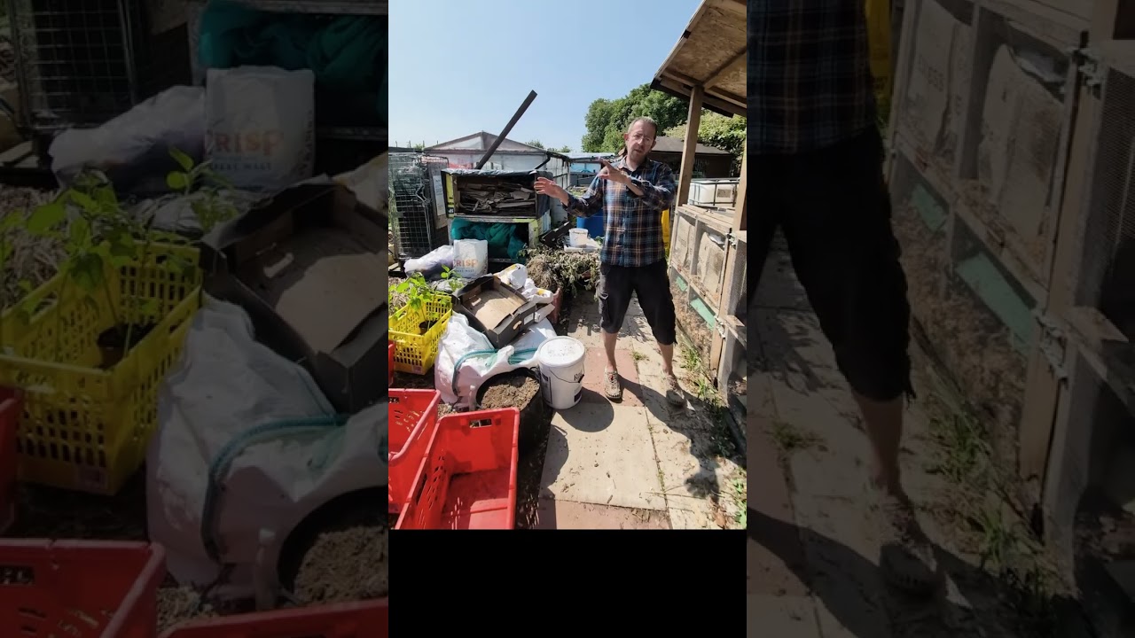 How Compost Culture is Turning Birmingham’s Food Waste into a Community Revolution 🌱♻️