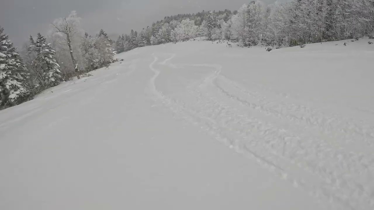 Shiga Kogen | Terayoka Fresh Snow (14 January 2026)