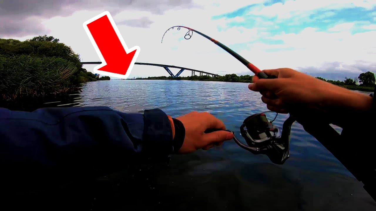 Ce gros poisson a failli m'arracher la canne des mains ! (Pêche du bar en estuaire)