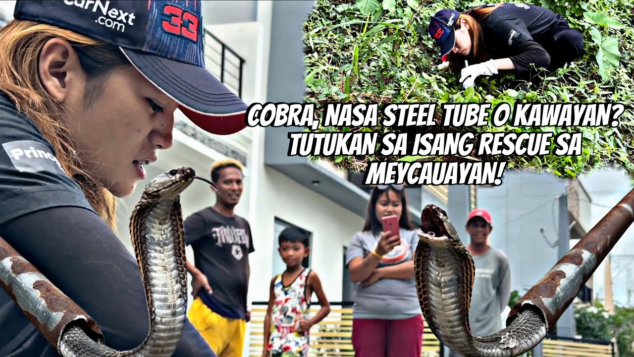 COBRA NASA STEEL TUBE O KAWAYAN? TUTUKAN SA ISANG RESCUE SA MEYCAUAYAN BULACAN #princesstuklaw