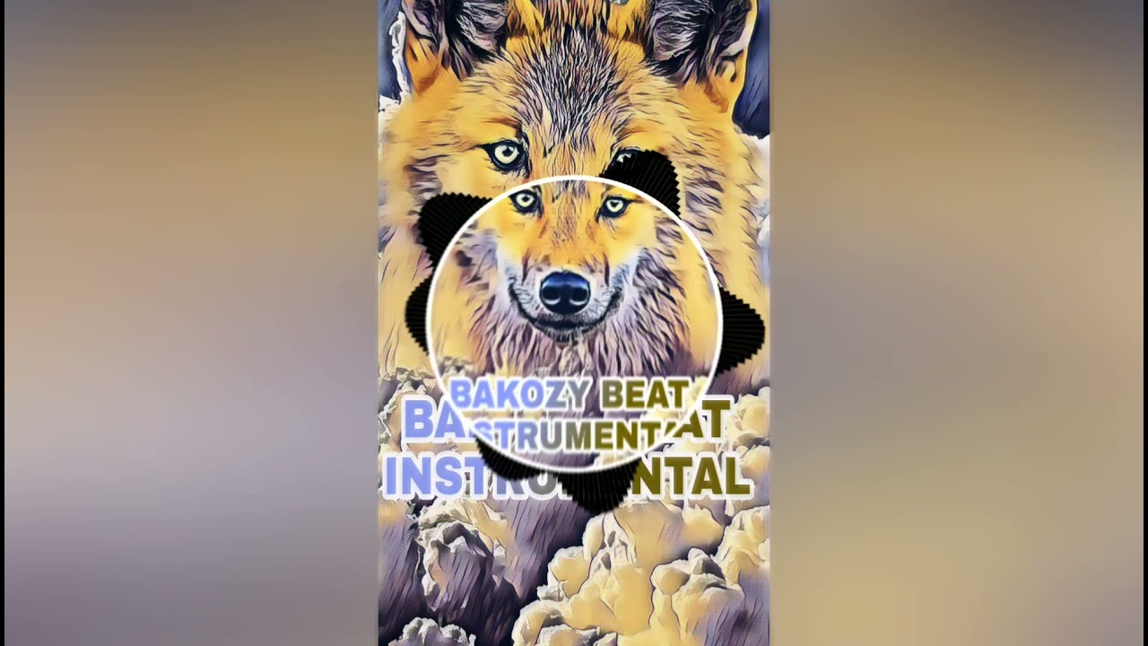 Backozy Beats ( Afro Beats du Loup )