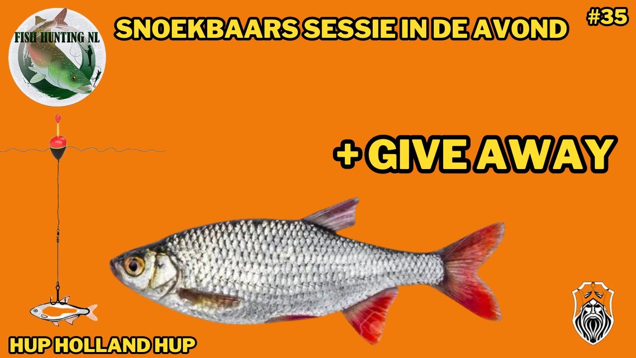 WIJ VANGEN EEN DIKKE SNOEKBAARS #35 Fish Hunting NL