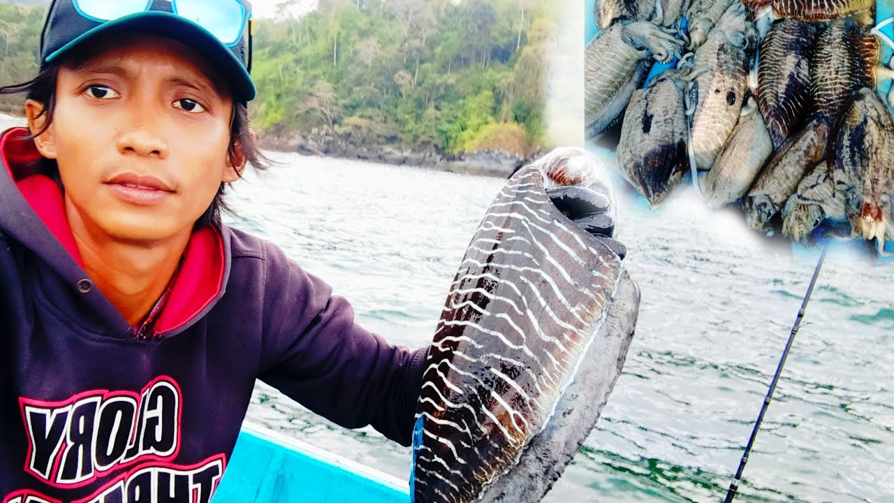 keseruan memancing CUMI sotong, bersama nelayan pantai RAJEKWESI
