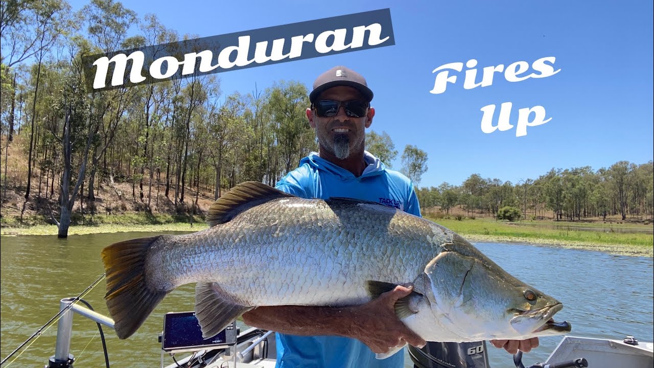 Monduran dam barramundi fire up