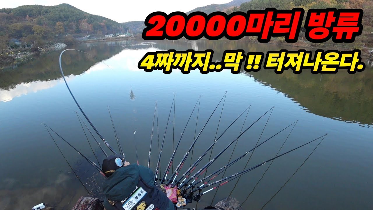 붕어낚시 . 2만마리 붕어가 줄을 서네. 이 추위에 낮 밤도 없이 여기도 풍어구나 !! (Korean big fishing)