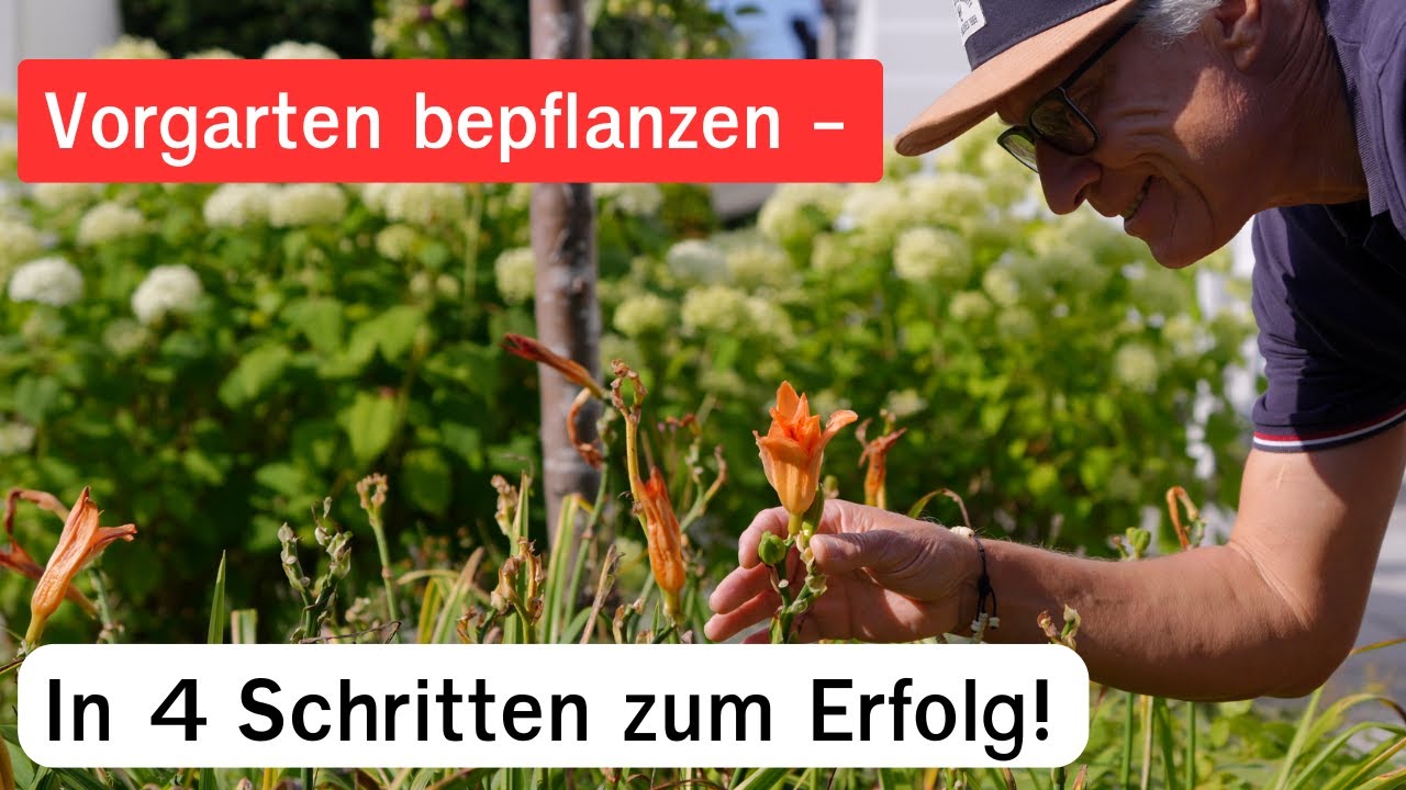 Vorgarten pflegeleicht & schön bepflanzen | 4 Schritte zum Erfolg | Pflanzplan & Tipps