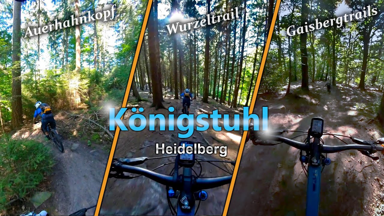 MTB Enduro Königstuhl Heidelberg