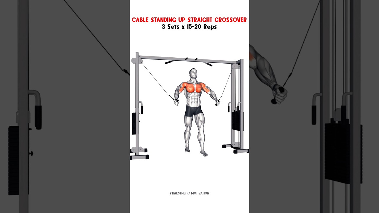 Full Body Day 3 | Complete Workout Guide #workout #fullbodyworkout