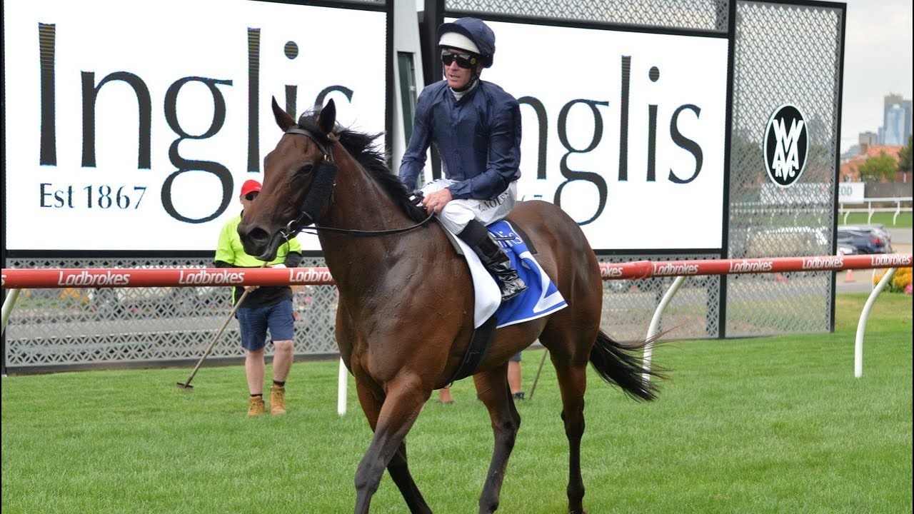 Inglis records its second ever $1 million sale